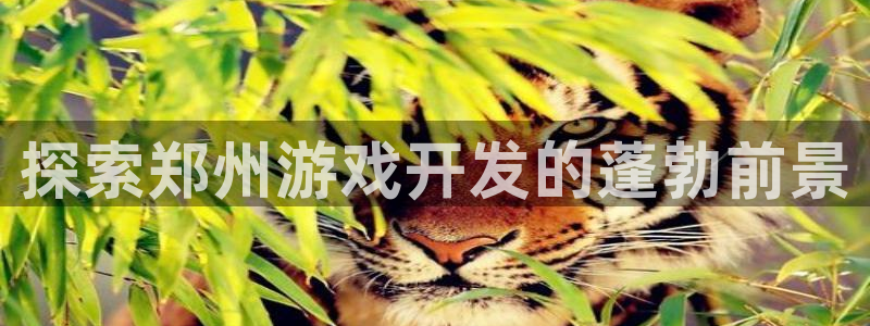 沐鸣娱乐2登录平台是什么软件