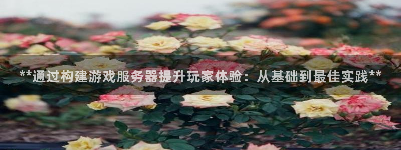 沐鸣2注册丘27337