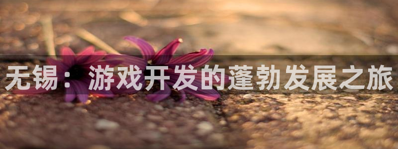 沐鸣2多少年