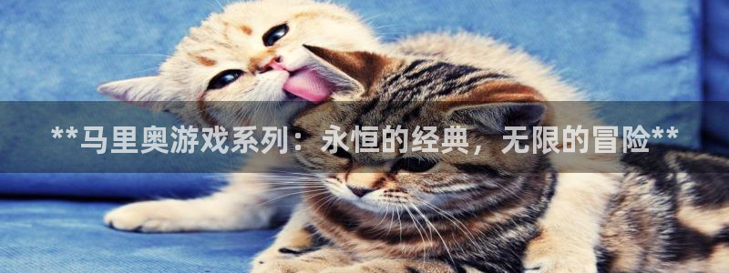 沐鸣娱乐2黑客户吗