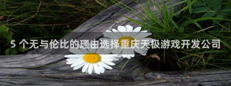 沐鸣2手机网页版