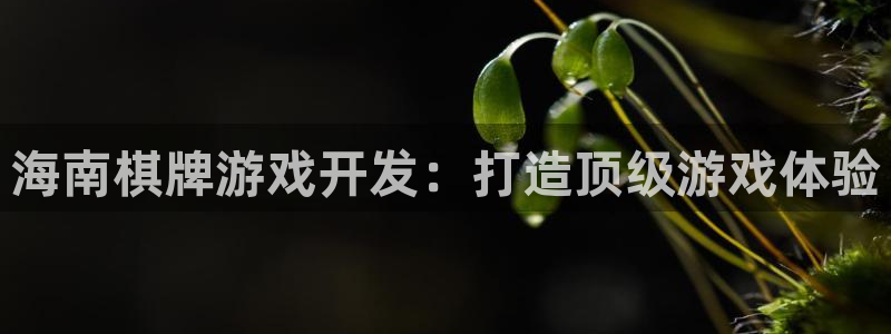 沐鸣娱乐2登录平台是什么软件