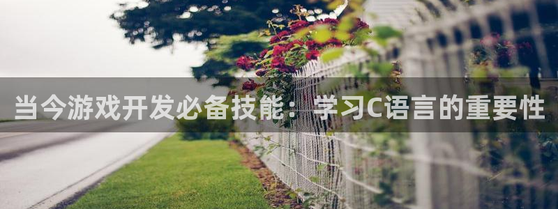 沐鸣2票35994度：当今游戏开发必备技能：学习C语言的重要性