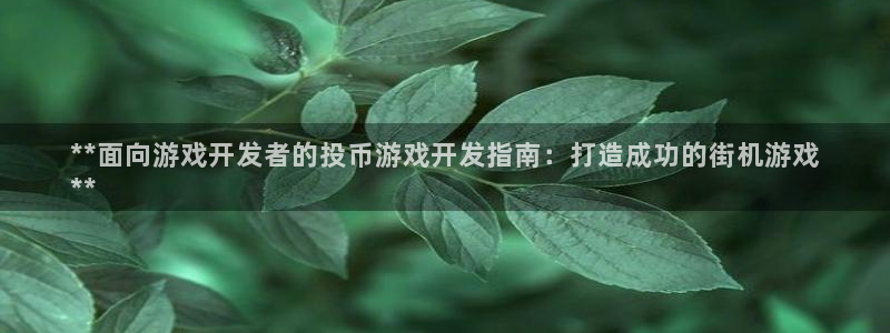 沐鸣2平台官网：**面向游戏开发者的投币游戏开发指南：打造成功的街机游戏
**