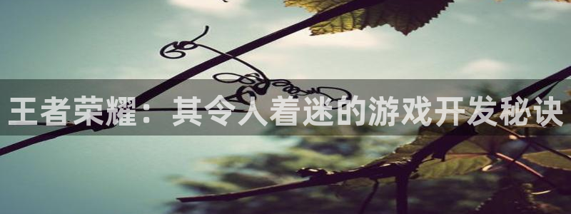 沐鸣2官网 5O6917：王者荣耀：其令人着迷的游戏开发秘诀