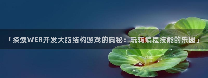 沐鸣娱乐2游戏说明：「探索WEB开发大脑结构游戏的奥秘：玩转编程技能的乐园」