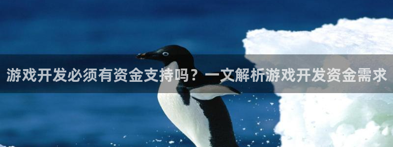 沐鸣娱乐2注册地址：游戏开发必须有资金支持吗？一文解析游戏开发资金需求