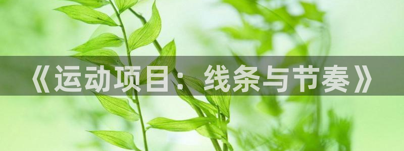 678体育官网下载：《运动项目：线条与节奏》