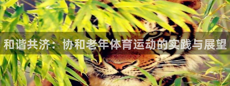 678体育官网：和谐共济：协和老年体育运动的实践与展望