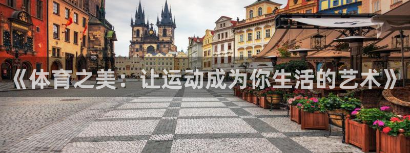 678体育app：《体育之美：让运动成为你生活的艺术》